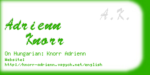 adrienn knorr business card